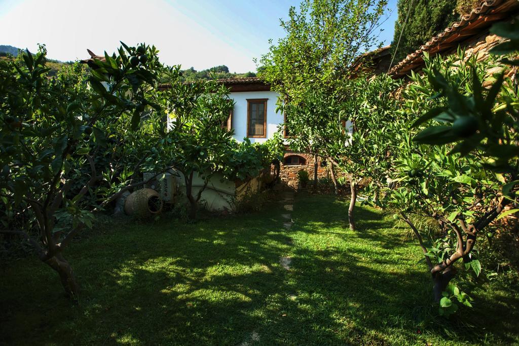 Terrace Houses Sirince Selçuk Luaran gambar