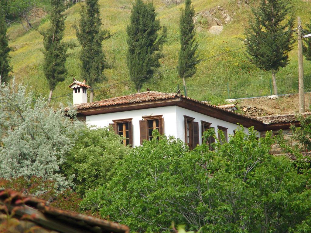 Terrace Houses Sirince Selçuk Luaran gambar