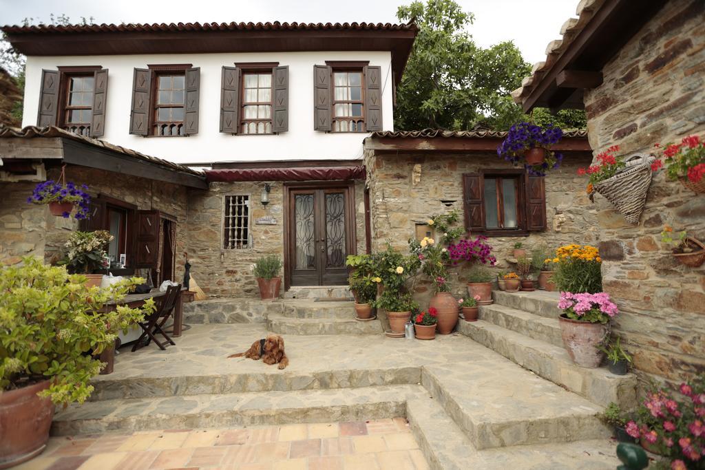 Terrace Houses Sirince Selçuk Luaran gambar