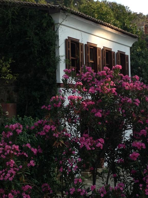 Terrace Houses Sirince Selçuk Luaran gambar